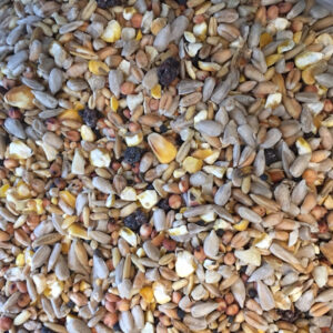 Wild Bird Seed With Fruit 1kg