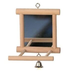 Bird Mirror And Perch
