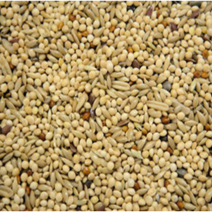Budgie Tonic 1kg