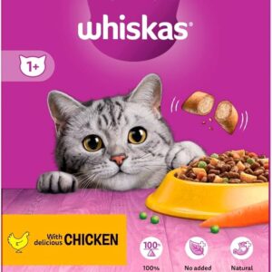 WHISKAS 1+ Cat Complete Dry Chicken 300g