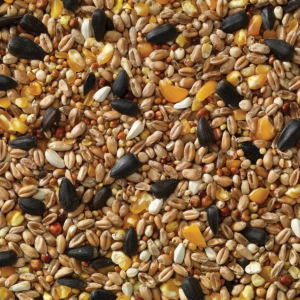 Wild Bird Seed 1kg