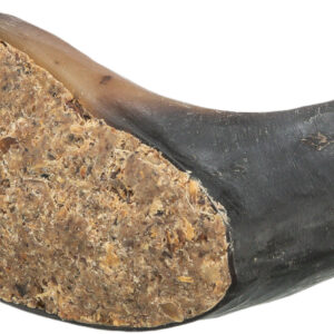 Buffalo Horn, filled